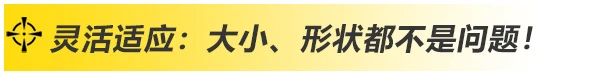 上海官网斗鱼体育